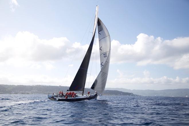 Wizard finishing in Jamaica - 33rd Pineapple Cup – Montego Bay Race © Edward Downer / Pineapple Cup
